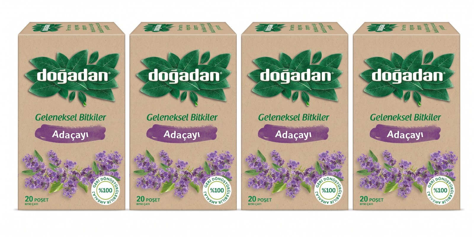 4'Lü Adaçayı